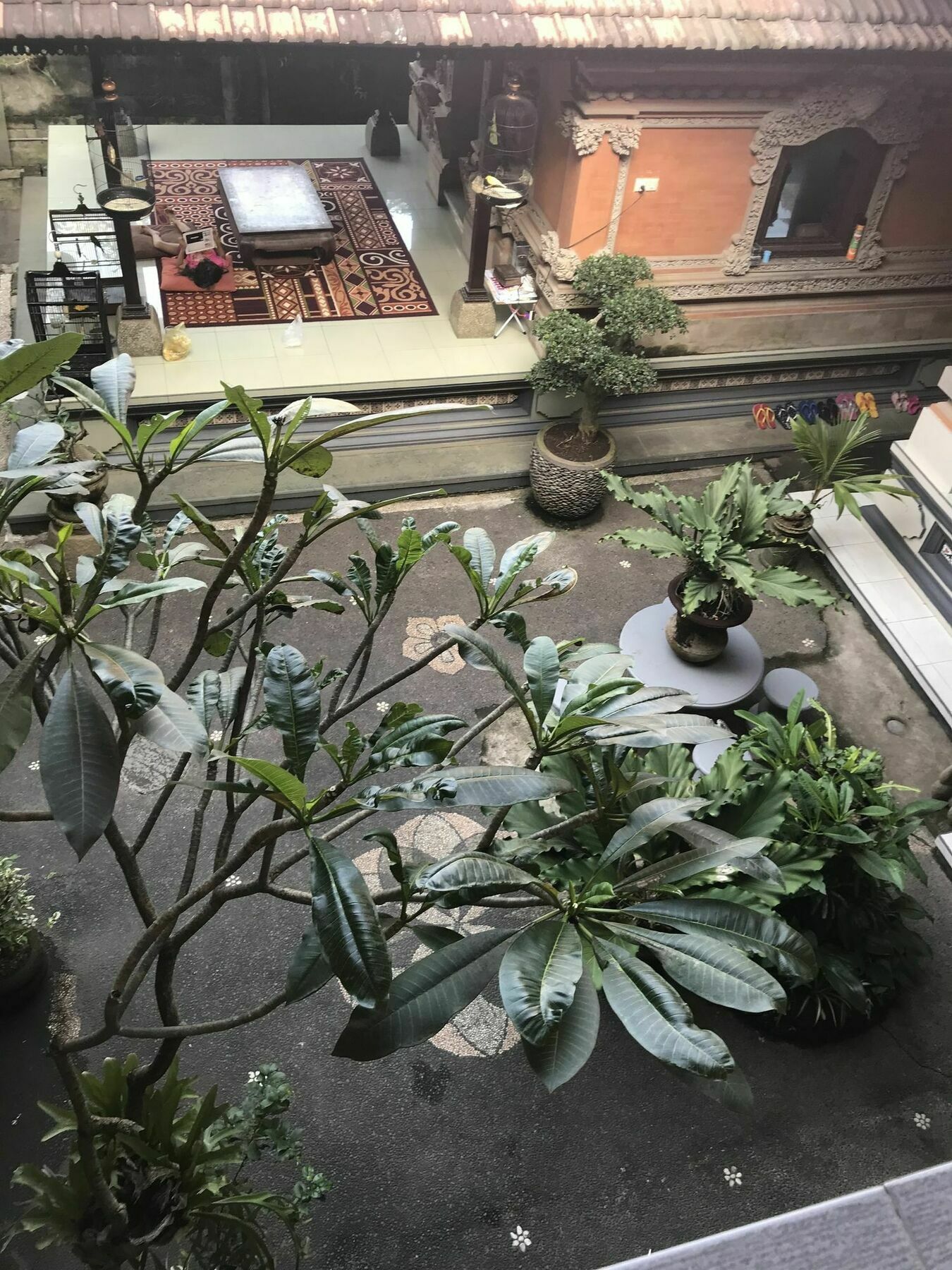 Kacu Ubud Inn Exterior foto